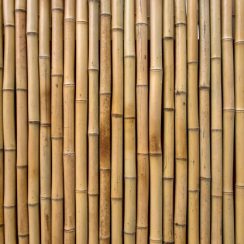 Le bois de bambou est-il plus écologique que d’autres bois ?