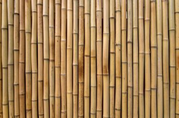 Le bois de bambou est-il plus écologique que d’autres bois ?