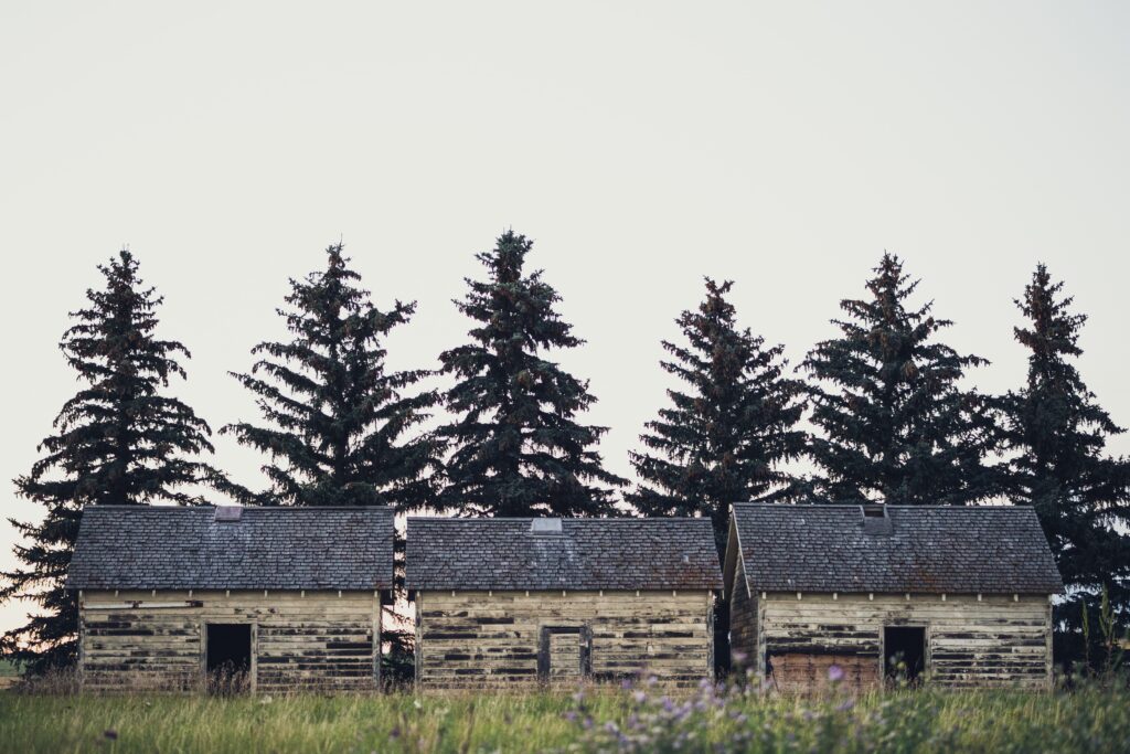 Décoration intérieure : sublimez vos murs avec des tasseaux de bois